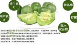 颜色吃瓜网站免费,尽享免费吃瓜盛宴！